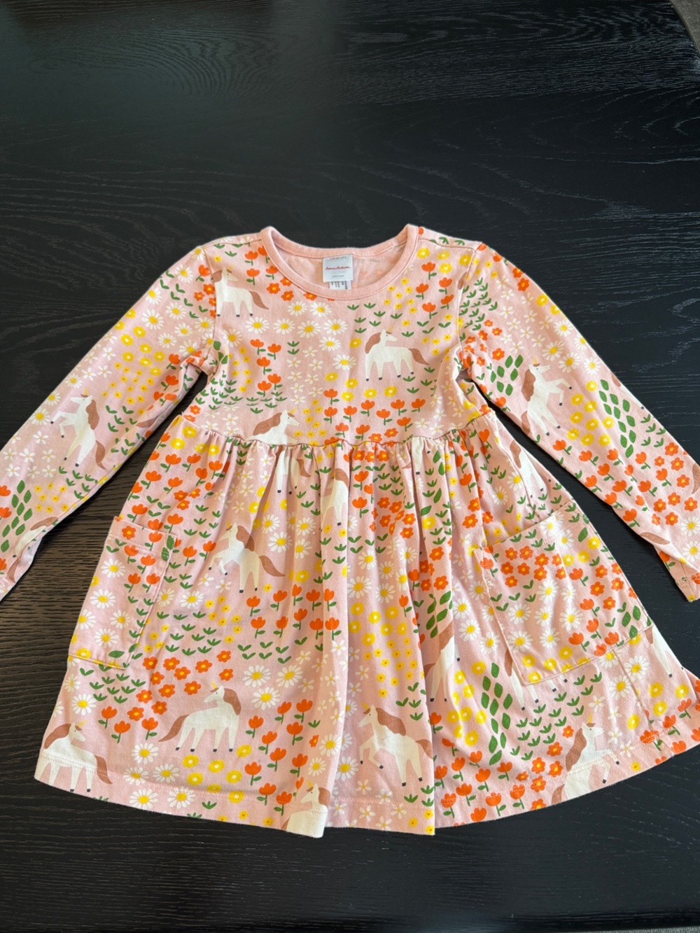 Hanna Andersson Pink Unicorn & Floral Long-Sleeve Dress